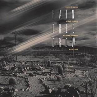 Album cover art for Rain Tree Crow