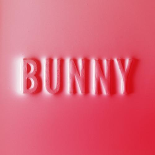 Album cover art for Bunny