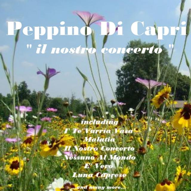 Album cover art for Il Nostro Concerto