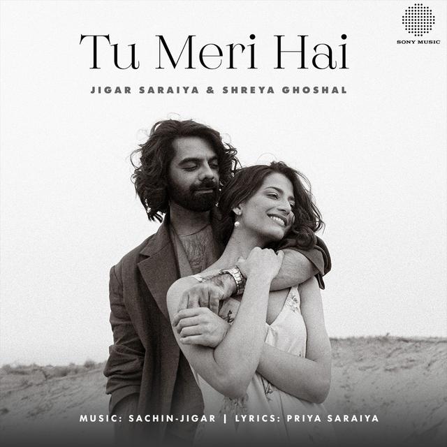 Album cover art for Tu Meri Hai