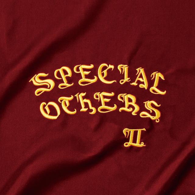 Album cover art for Special Others II