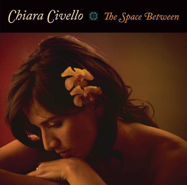 Album cover art for The Space Between