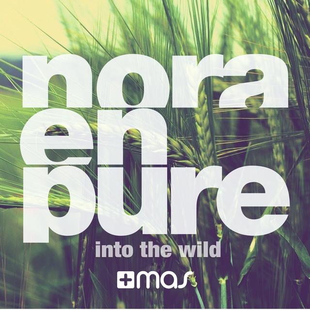 Album cover art for Into the Wild