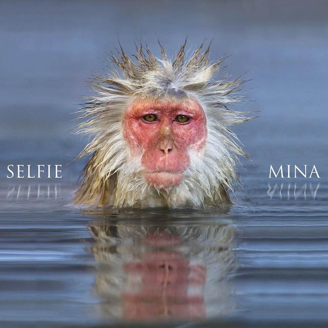 Album cover art for Selfie