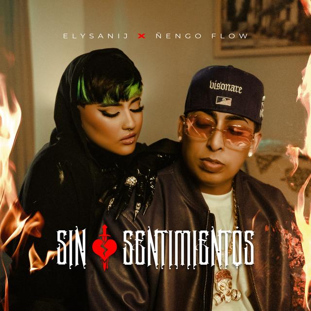 Album cover art for Sin Sentimientos