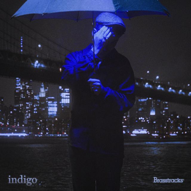 Album cover art for Indigo