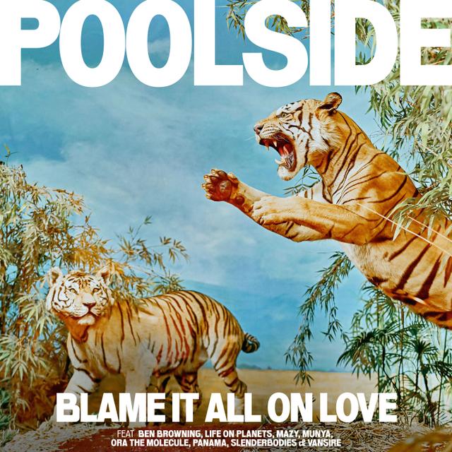 Album cover art for Blame It All On Love