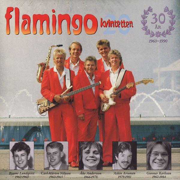 Album cover art for Flamingokvintetten 20