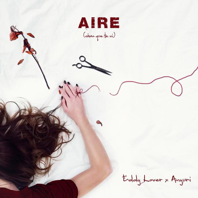 Album cover art for Aire