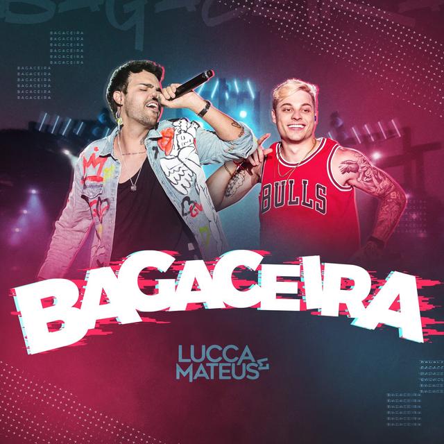 Album cover art for Bagaceira