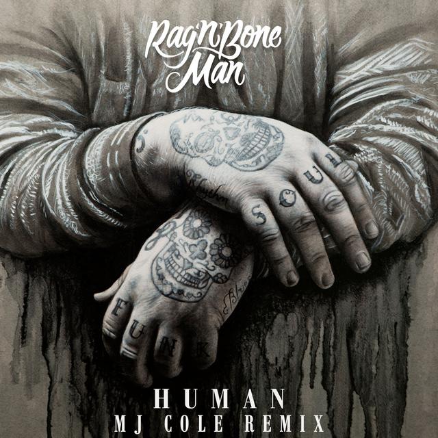 Album cover art for Human