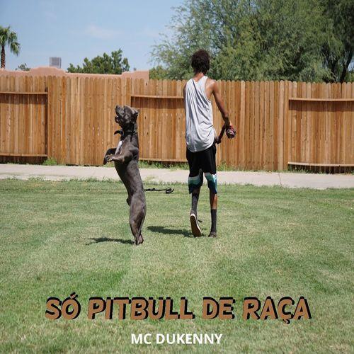 Album cover art for Só Pitbull de Raça