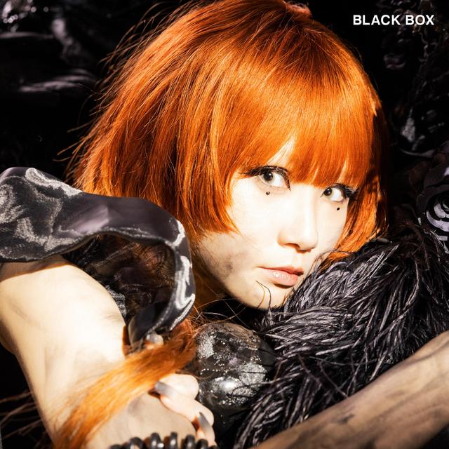 Album cover art for BLACK BOX