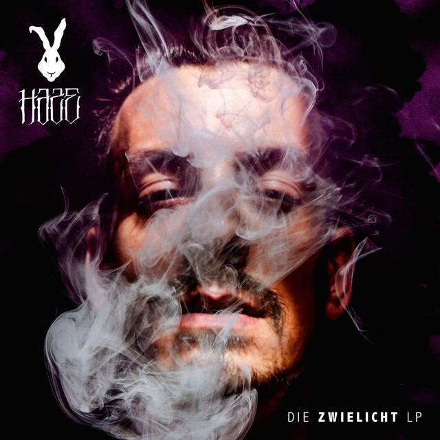 Album cover art for Die Zwielicht LP