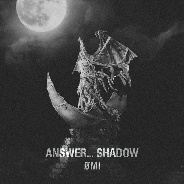 Album cover art for ANSWER... SHADOW