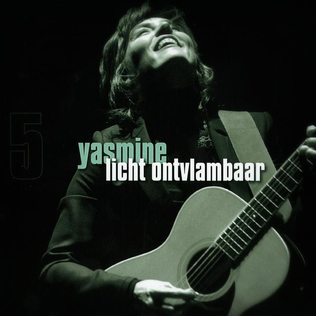 Album cover art for Licht Ontvlambaar