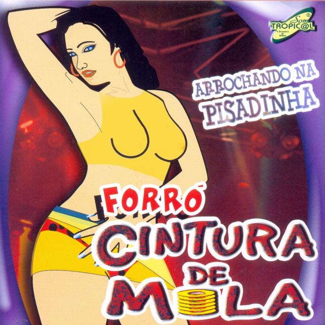 Album cover art for Arrochando na Pisadinha