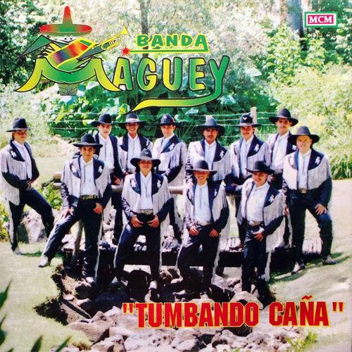 Album cover art for Tumbando Caña