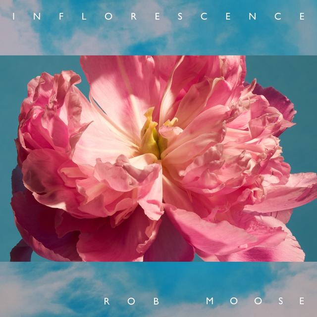 Album cover art for Inflorescence