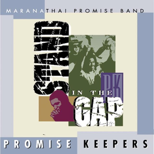 Album cover art for Promise Keepers - Stand In The Gap