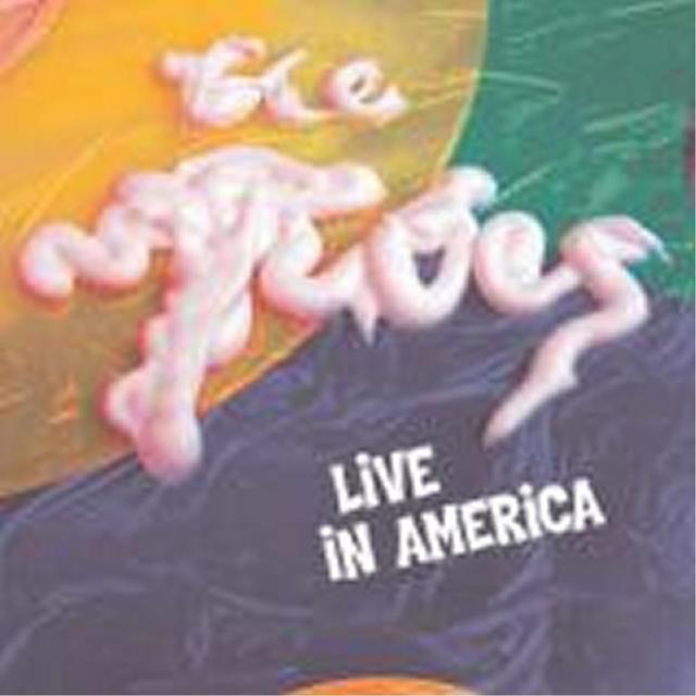 Album cover art for Live In America