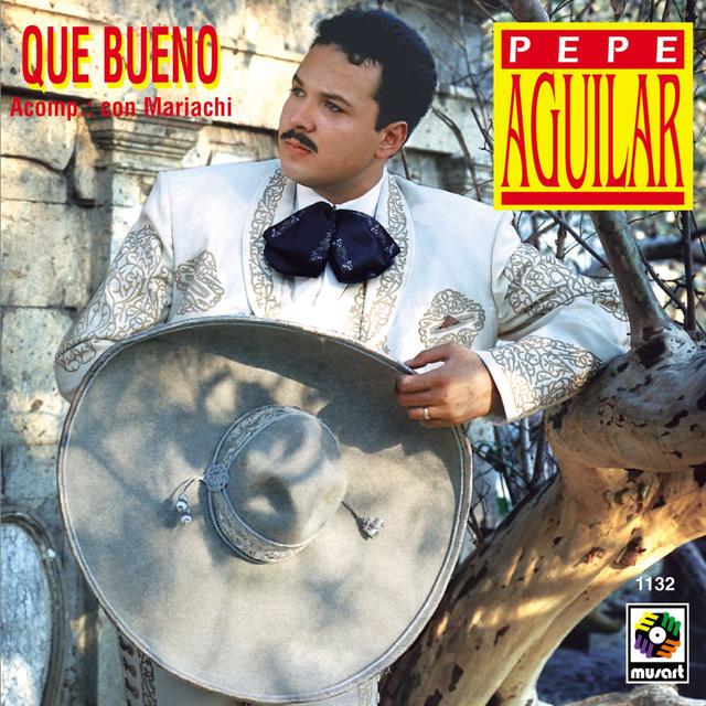 Album cover art for Que Bueno