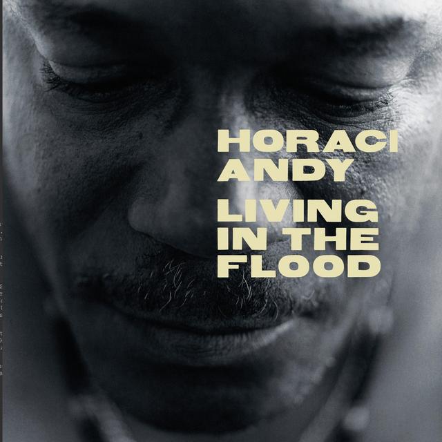 Album cover art for Living In The Flood