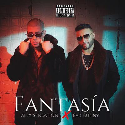 Album cover art for Fantasía