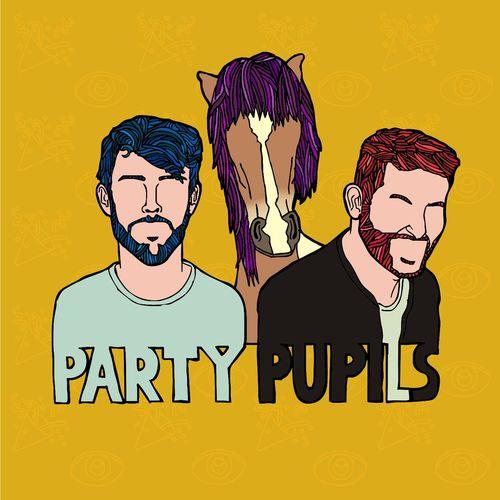 Album cover art for Pony