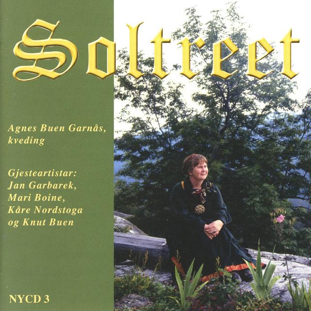 Album cover art for Soltreet