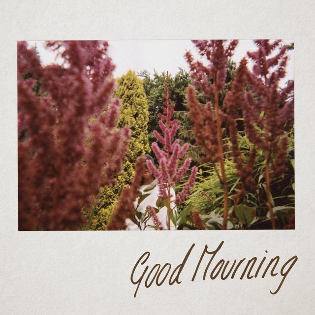 Album cover art for Good Mourning