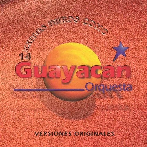 Album cover art for 14 Exitos Duros Como Guayacan