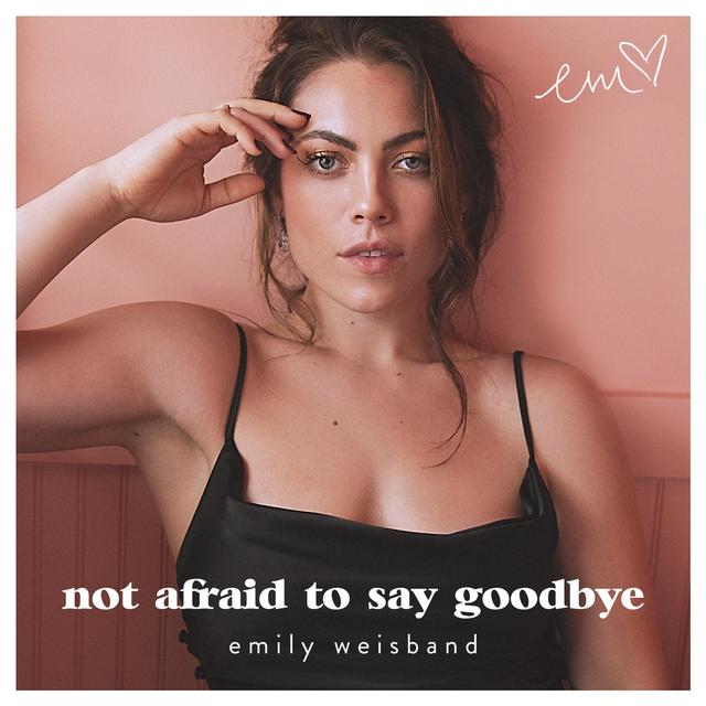 Album cover art for Not Afraid to Say Goodbye