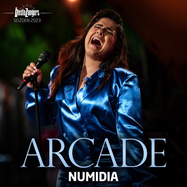 Album cover art for Arcade