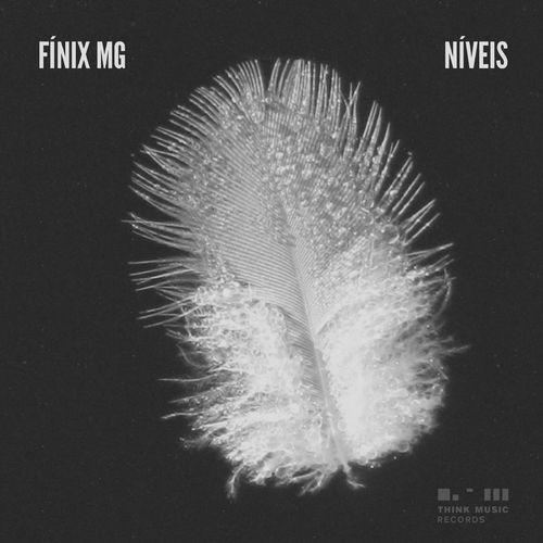 Album cover art for Níveis