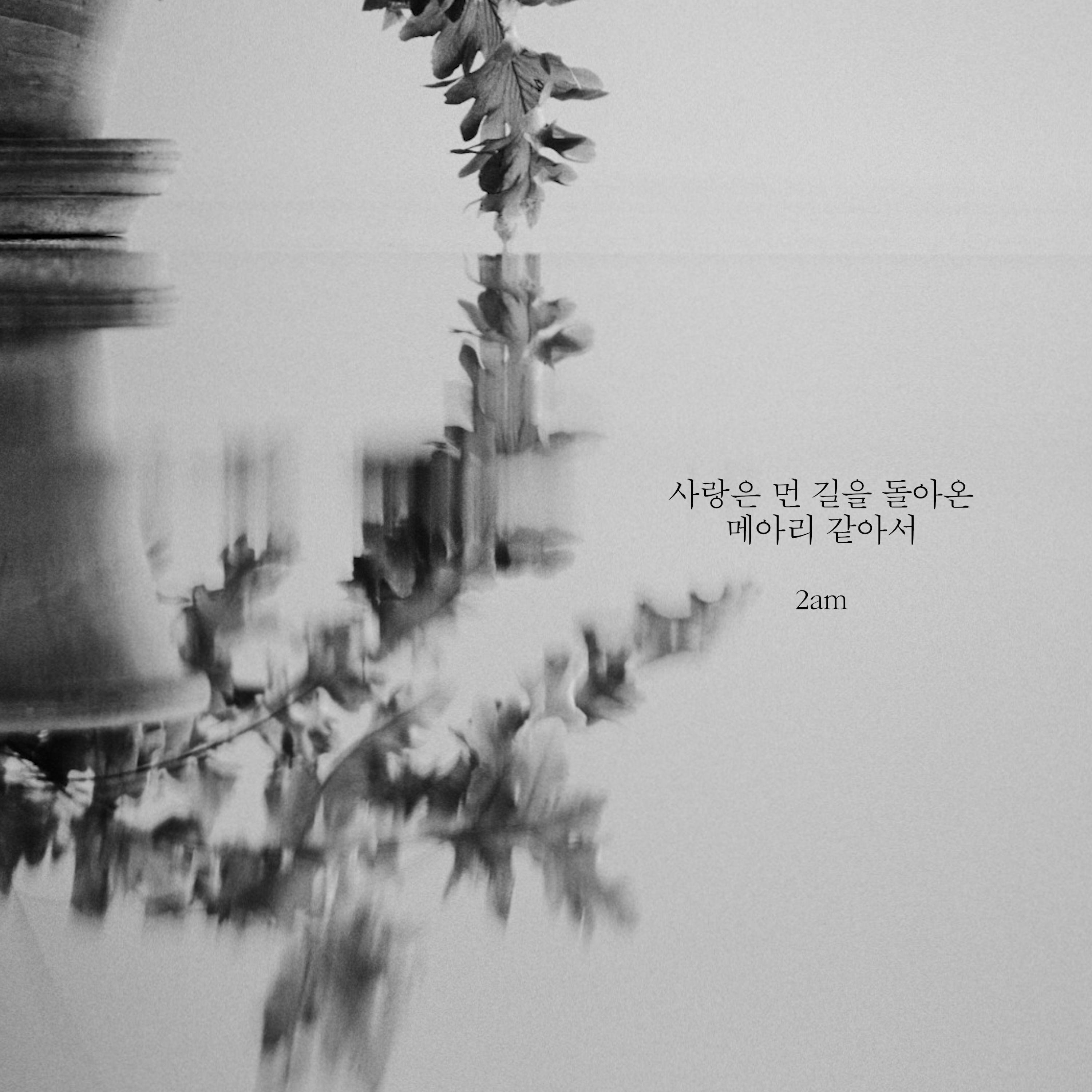 Lyric cover art as blurred background