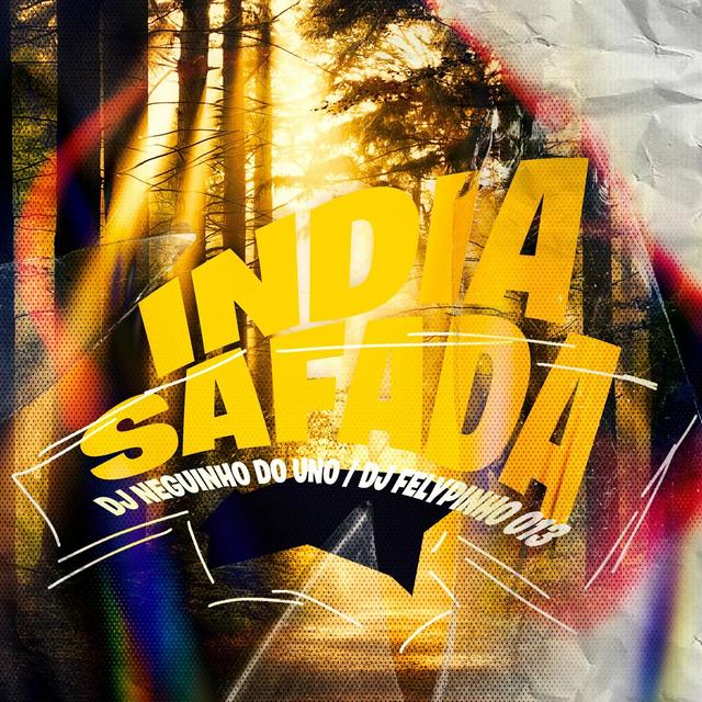 Album cover art for India Safada