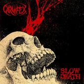 Album cover art for Slow Death