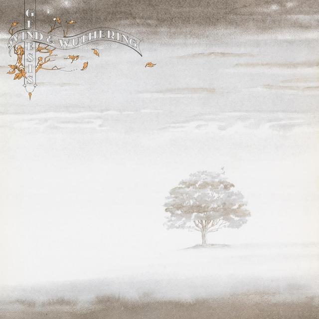 Album cover art for Wind & Wuthering