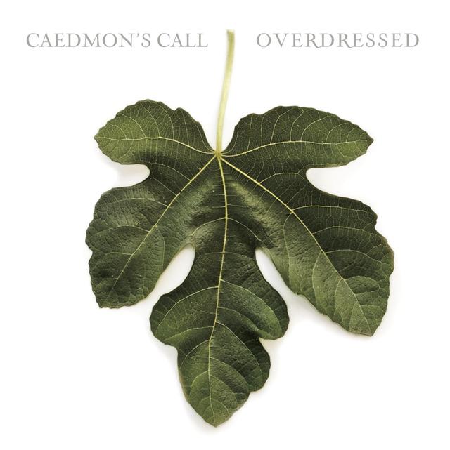 Album cover art for Overdressed