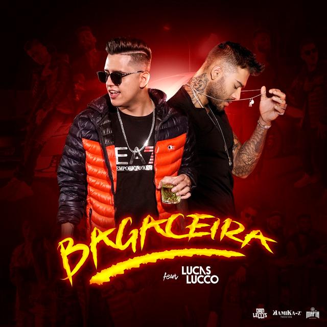 Album cover art for Bagaceira