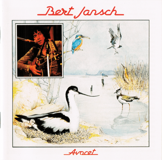 Album cover art for Avocet