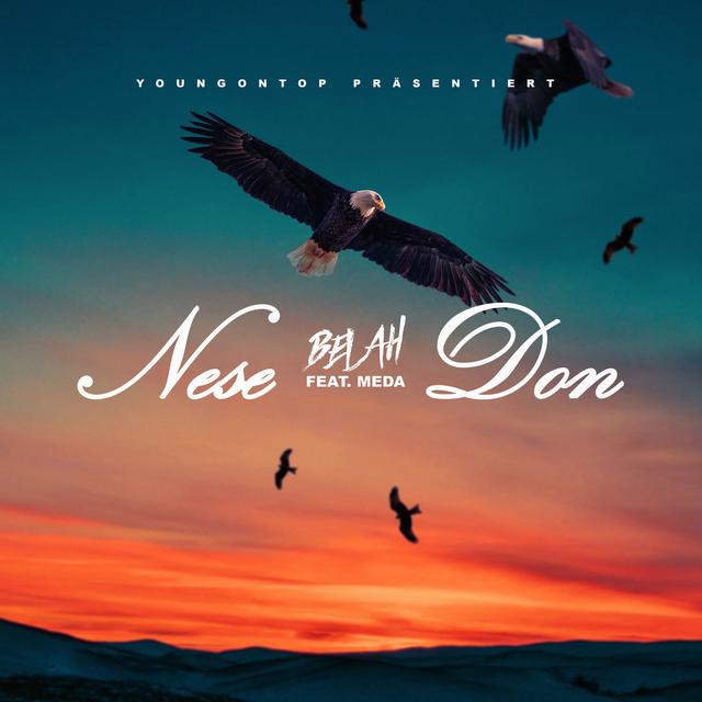 Album cover art for Nese Don