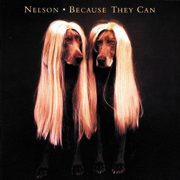 Album cover art for Because They Can