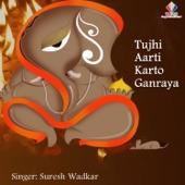 Album cover art for Tujhi Aarti Karto Ganraya