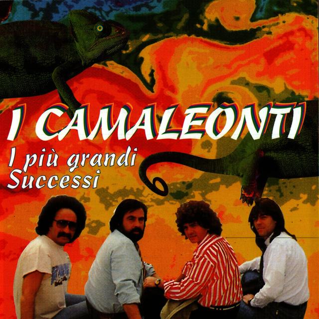 Album cover art for I Più Grandi Successi