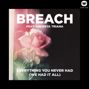 Album cover art for Everything You Never Had