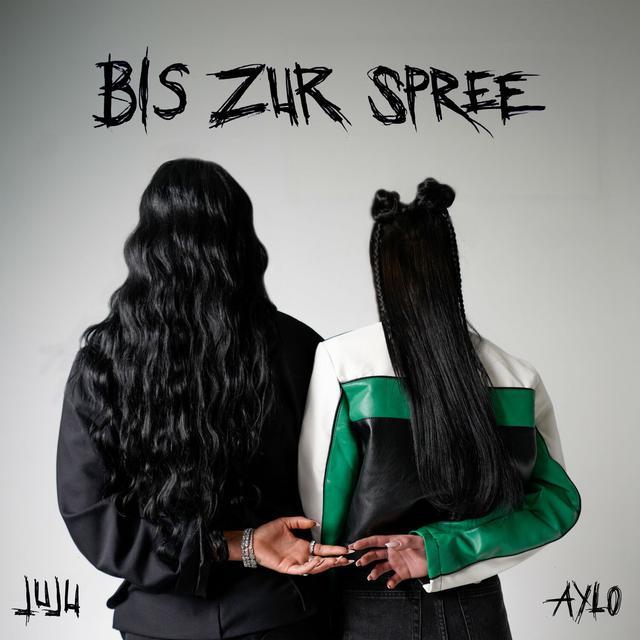 Album cover art for Bis zur Spree