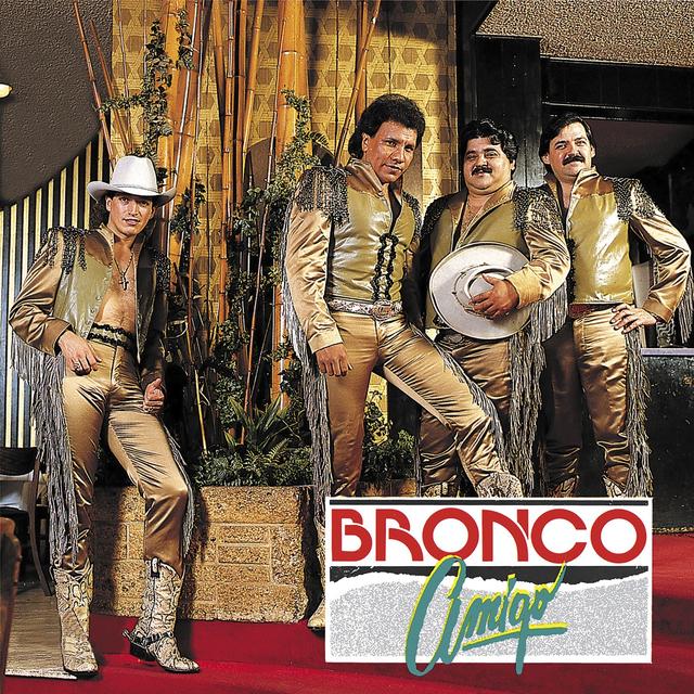 Album cover art for Amigo Bronco