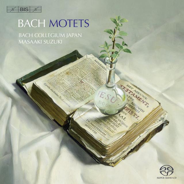 Album cover art for Bach : Motets